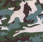 andy-warhol-camouflage-portfolio