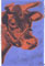 andy-warhol-cow-1971