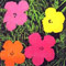 andy-warhol-flowers