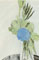 andy-warhol-flowers-hand-colored-portfolio